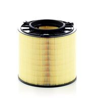 C17013 Filtro aria  - vettura  -