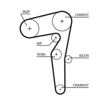 5646XS AR-SYNCHRONOUS BELTS