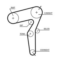 5650XS AR-SYNCHRONOUS BELTS