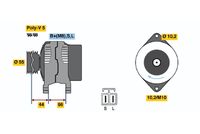 0986042921 Alternatore val.reso € 20