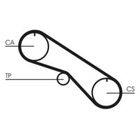 Cinghie CONTITECH Distribuzione