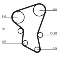 Cinghie CONTITECH Distribuzione