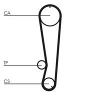 Cinghie CONTITECH Distribuzione