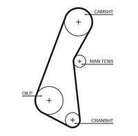 5121 AR-SYNCHRONOUS BELTS