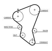 5171XS AR-SYNCHRONOUS BELTS