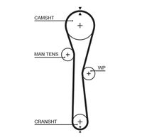 5577XS AR-SYNCHRONOUS BELTS