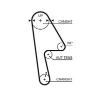 5593XS AR-SYNCHRONOUS BELTS