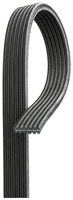 6DPK2215 AR-MICRO-V BELTS