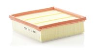 C21106 Filtro aria  - vettura  -