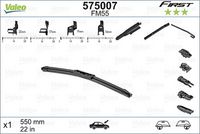 FM55 - Tergi First FB Multiconnection