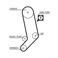 5323XS AR-SYNCHRONOUS BELTS