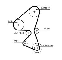 5656XS AR-SYNCHRONOUS BELTS